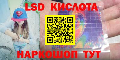 PSILOCYBIN Заводоуковск