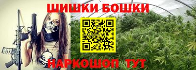 PSILOCYBIN Заводоуковск