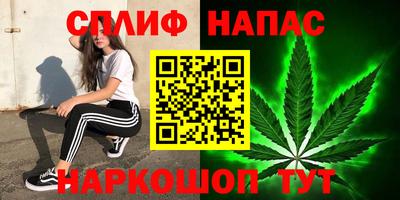 PSILOCYBIN Заводоуковск